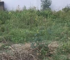 Plot For Sale in Gomti Nagar
