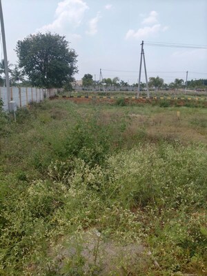  Plot For Sale in Shadnagar