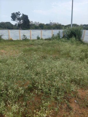 Plot Area in  Plot at Shadnagar – for Sale