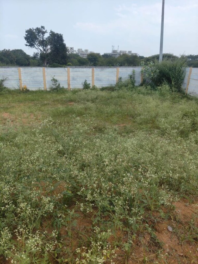 undefined, shadnagar  1500 Sq.Ft. Plot In Shadnagar Hyderabad 10732246