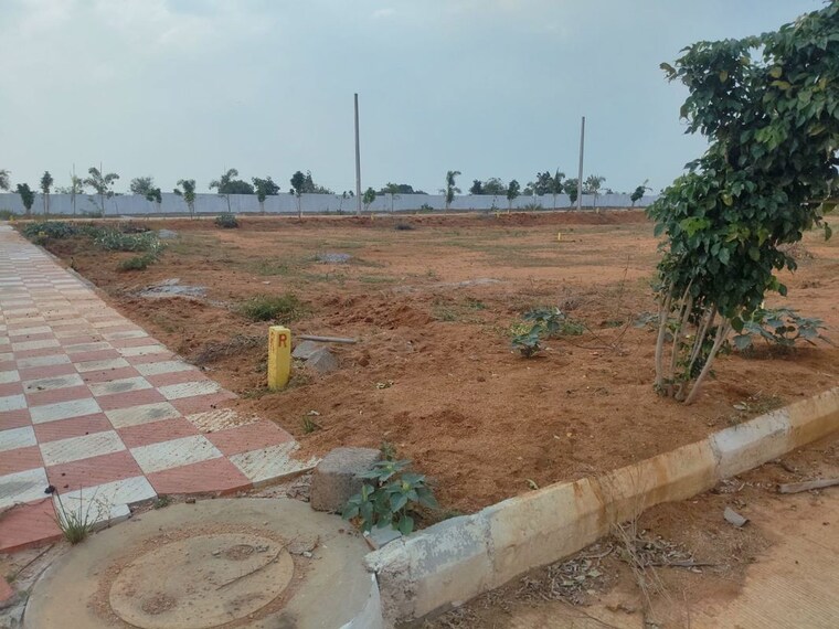 undefined, shadnagar  165 Sq.Yd. Plot In Shadnagar Hyderabad 10732251