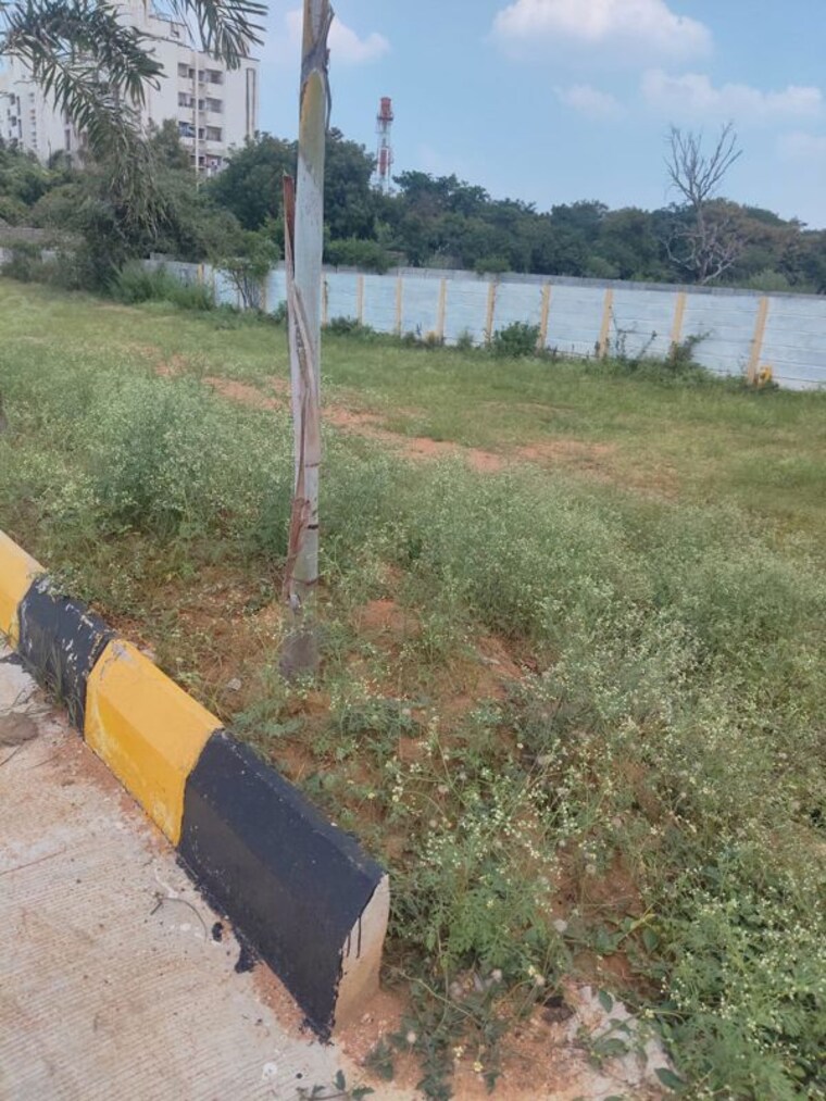 undefined, shadnagar  147 Sq.Yd. Plot In Shadnagar Hyderabad 10732259