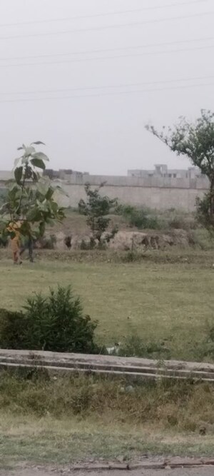 Plot Area in  Plot at GDA Madhuban Bapu Dham Society, Madhuban Bapudham – for Sale