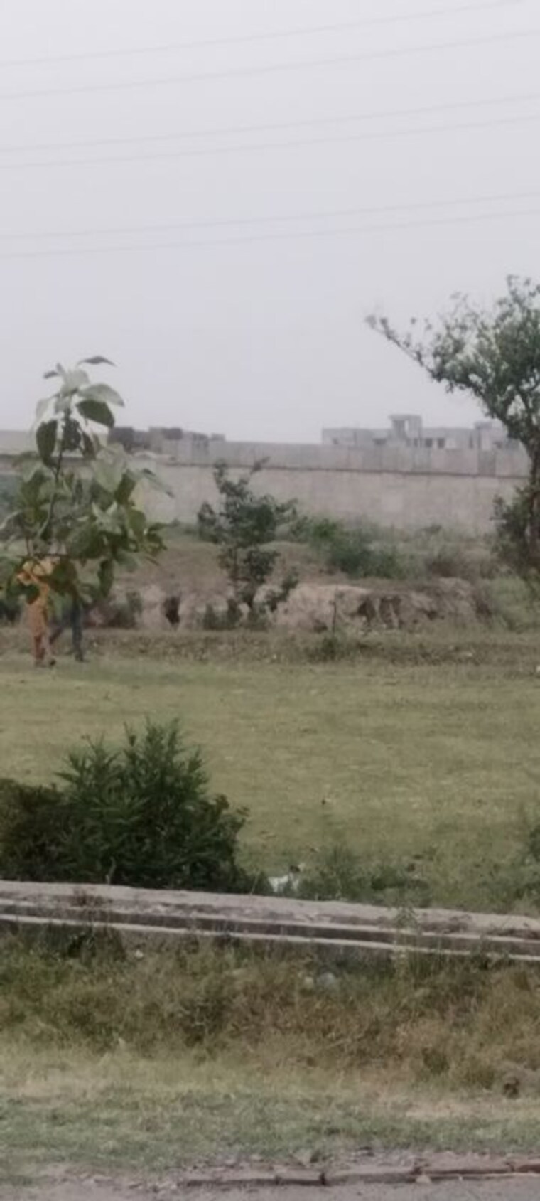 undefined, gda-madhuban-bapu-dham-society  40 Sq.Mt. Plot In Madhuban Bapudham Ghaziabad 10328723