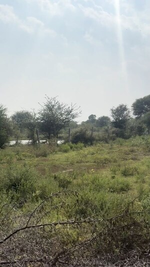 Plot Area in  Plot at Shreeram Raghunandan Enclave , Tonk Road – for Sale