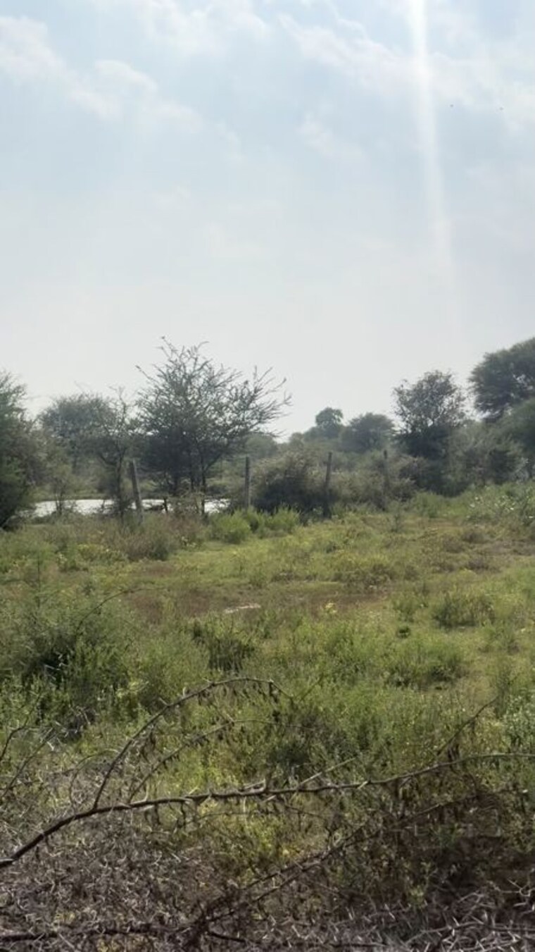 undefined, shreeram-raghunandan-enclave  2995 Sq.Ft. Plot In Tonk Road Jaipur 10732646