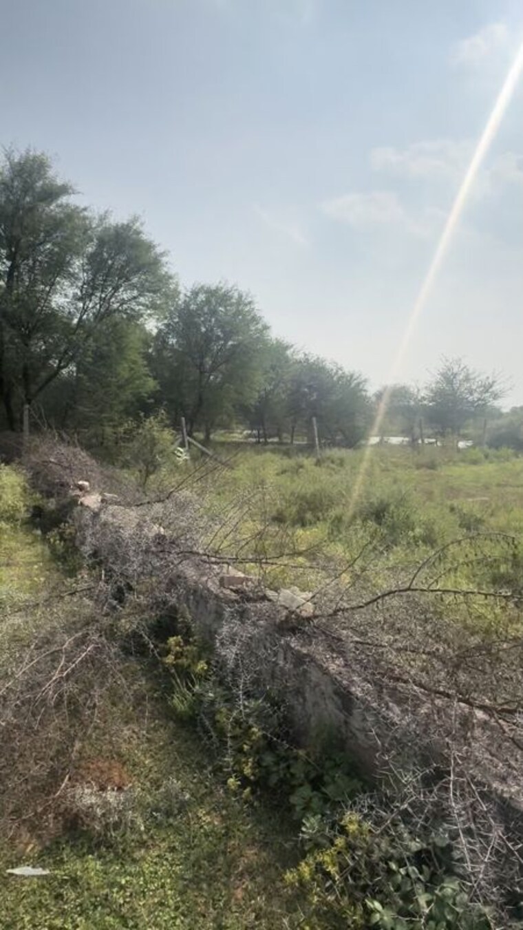 undefined, shreeram-raghunandan-enclave  2995 Sq.Ft. Plot In Tonk Road Jaipur 10732646