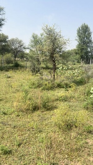 Plot Area in  Plot at Shreeram Raghunandan Enclave , Tonk Road – for Sale