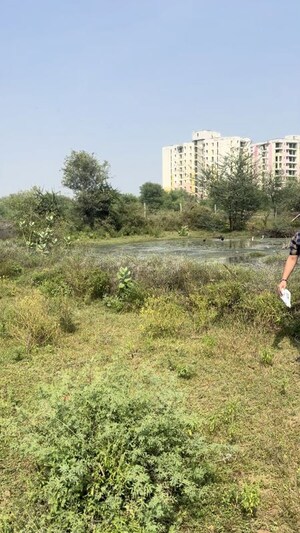 Plot Area in  Plot at Shreeram Raghunandan Enclave , Tonk Road – for Sale