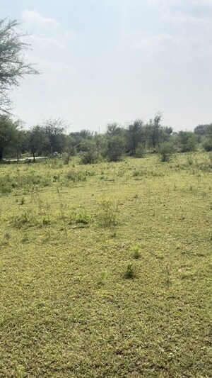  Plot For Sale in Shreeram Raghunandan Enclave , Tonk Road