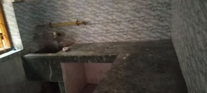 Kitchen in 2 BHK Independent House at Harmu – for Rent