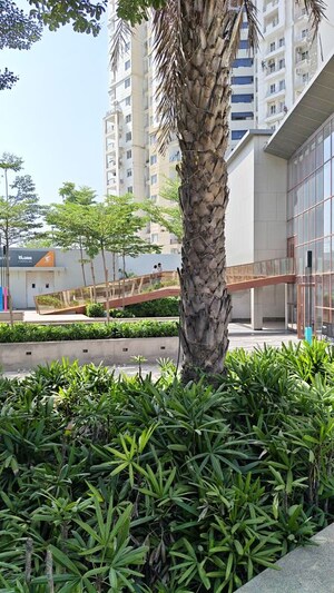  Shop – Exterior View View at 3C Lotus Panache, Sector 110 - for Rent