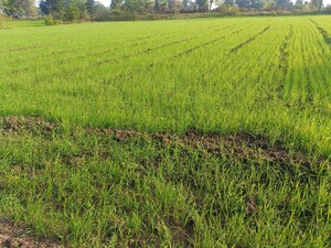 Plot Area in  Plot at Simrol – for Sale