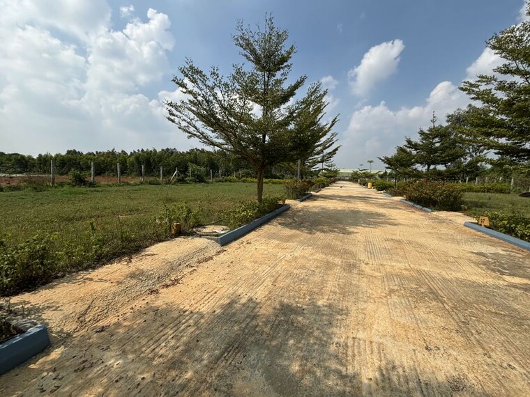 undefined, anekal  1200 Sq.Ft. Plot In Anekal Bangalore 10733596