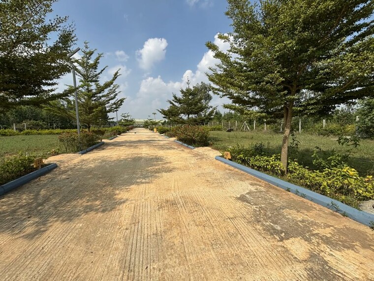 undefined, anekal  1200 Sq.Ft. Plot In Anekal Bangalore 10733596