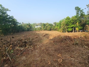 Plot Area in  Plot at Palai – for Sale