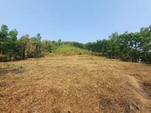  Plot For Sale in Palai