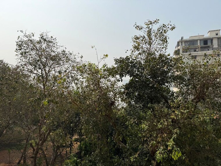 undefined, sagar-sangeet-chs-colaba 2 Bedroom 1050 Sq.Ft. Apartment In Colaba Mumbai 10733934