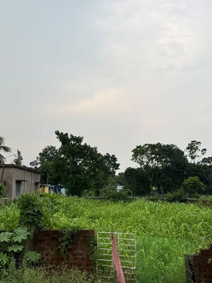 Plot Area in  Plot at Kalyani – for Sale