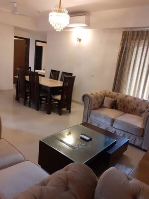 Living Room in 3 BHK Builder Floor at Sector 22 – for Rent