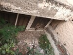 238 Sq.Yd. Plot in Sector 30