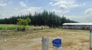  Plot For Sale in Kalapatti