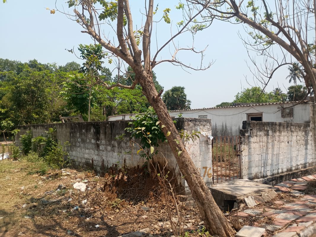 Plot Area in  Land at Chelavuru – for Sale