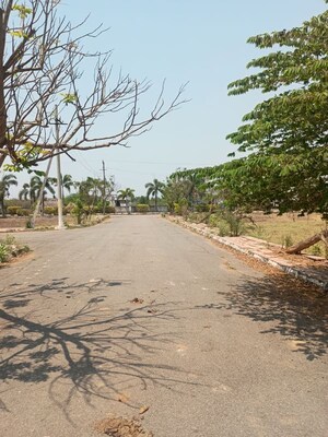 Plot Area in  Land at Chelavuru – for Sale