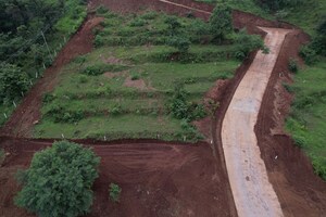  Plot For Sale in Velhe