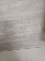 300 Sq.Yd. Plot in Sector 82 A