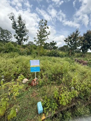  Land – Garden View at Hebbadi - for Sale