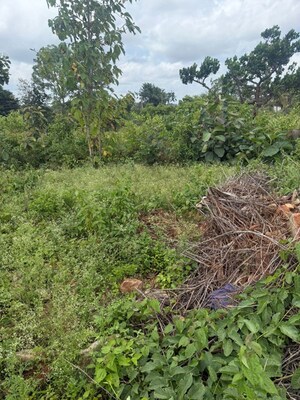 Plot Area in  Land at Hebbadi – for Sale