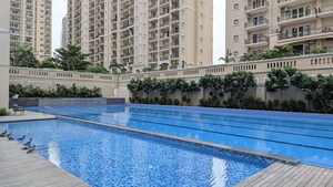 Swimming Pool in 3 BHK Apartment at ATS Le Grandiose, Sector 150 – for Rent