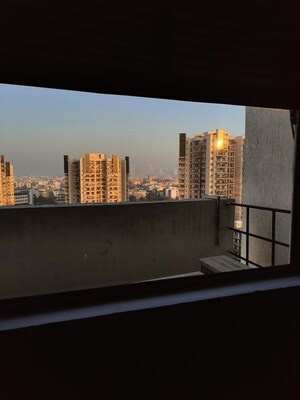 Swimming Pool in 3 BHK Apartment at Tulip Yellow, Sector 69 – for Rent