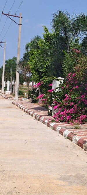  Plot – Exterior View View at Premium County, Tukkuguda - for Sale