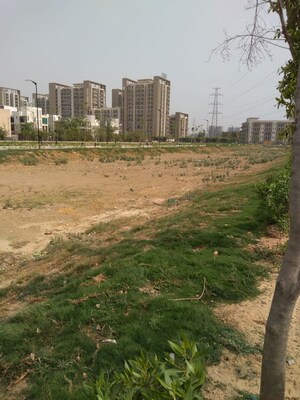 Plot Area in  Plot at Sector 84 – for Sale