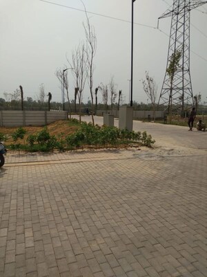 Plot Area in  Plot at Sector 84 – for Sale