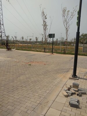  Plot For Sale in Sector 84