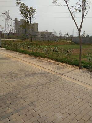Plot Area in  Plot at Sector 84 – for Sale