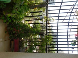 Balcony in 2 BHK Apartment at Mayurs Nature Glory, Kalwa – for Rent