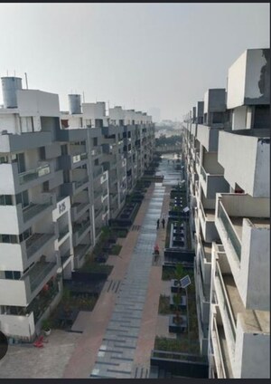 3 BHK Apartment For Sale in Panchsheel Primrose Independent Floors, Govindpuram