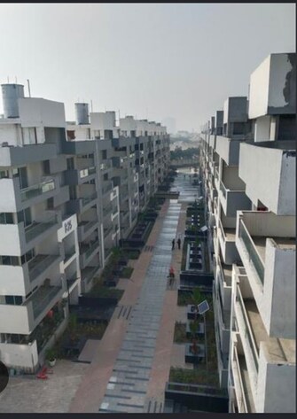 3 BHK Apartment For Sale in Panchsheel Primrose Independent Floors in Govindpuram, Ghaziabad