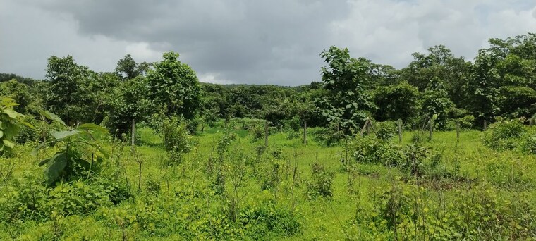 Garden, sivana-riverside-paradise Commercial Land 20000 Sq.Ft. In Murbad Thane 10735349