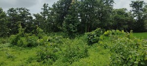  Land – Garden View at Sivana Riverside Paradise, Murbad - for Sale