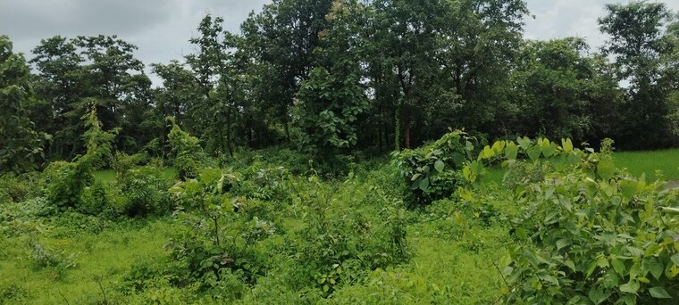 Garden, sivana-riverside-paradise Commercial Land 20000 Sq.Ft. In Murbad Thane 10735349