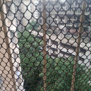 Parking in 2 BHK Apartment at Panch Mahal, Powai – for Rent