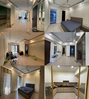 Team Area in 1 BHK Builder Floor at Sector 43 – for Rent