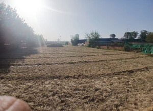  Land For Rent in Sector 63