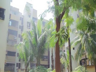 1 BHK +  555 Sq.Ft. Apartment in Runwal Plaza