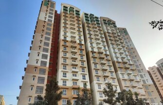 3 BHK 1561 Sq.Ft. Apartment in Brigade El Dorado